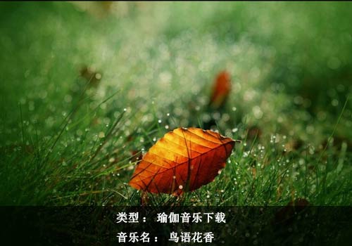 瑜伽音乐下载：鸟语花香