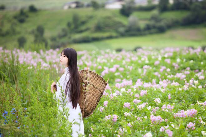 骆驼式，让你告别“小腹婆”