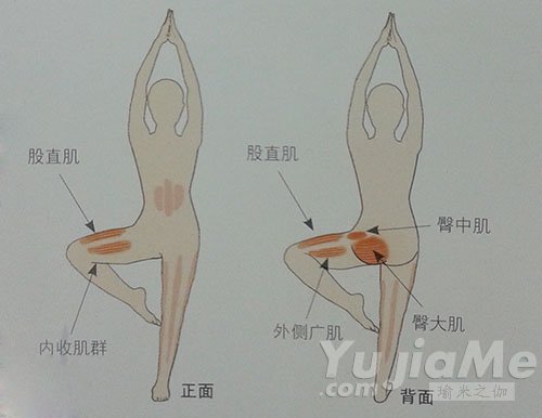 超棒的减肥瑜伽瘦腿动作 